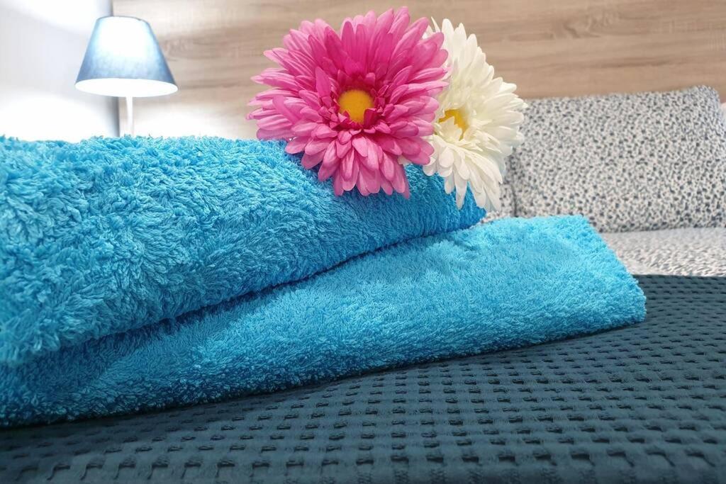 Apartamento Eucalipto Mozaga Zewnętrze zdjęcie