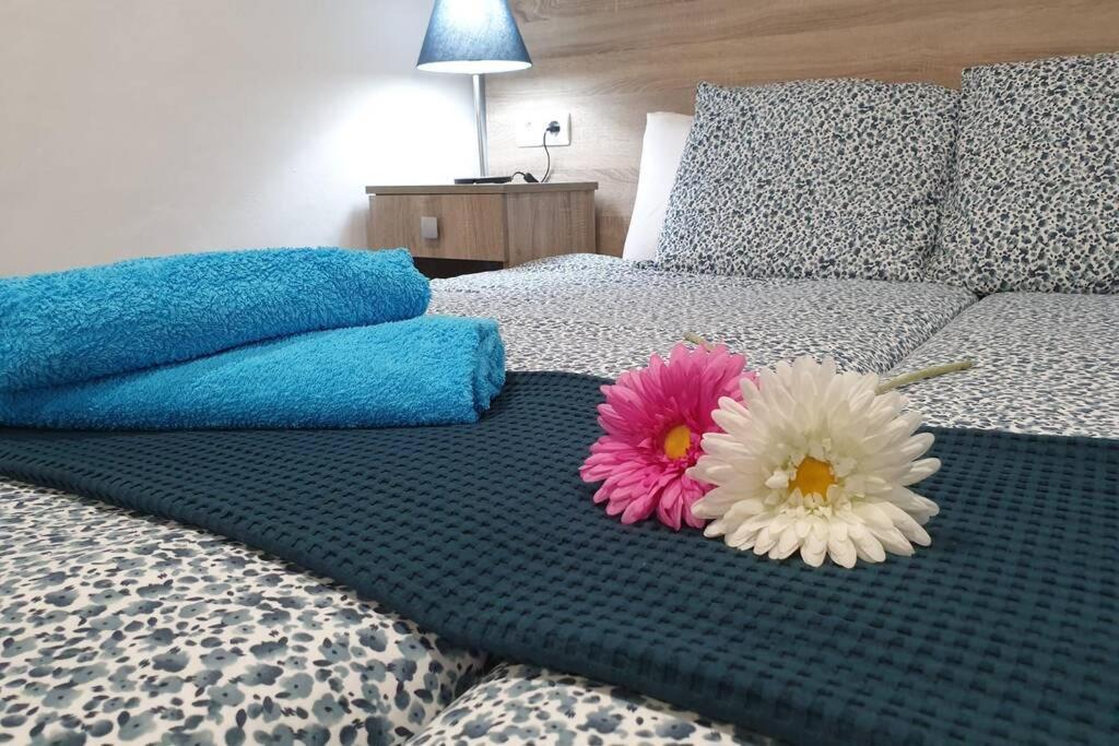 Apartamento Eucalipto Mozaga Zewnętrze zdjęcie